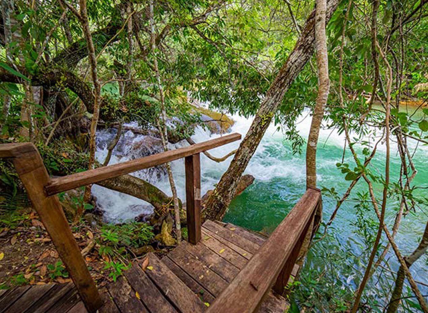 Vista de deck de madeira à margem de água cristalina em meio a natureza
