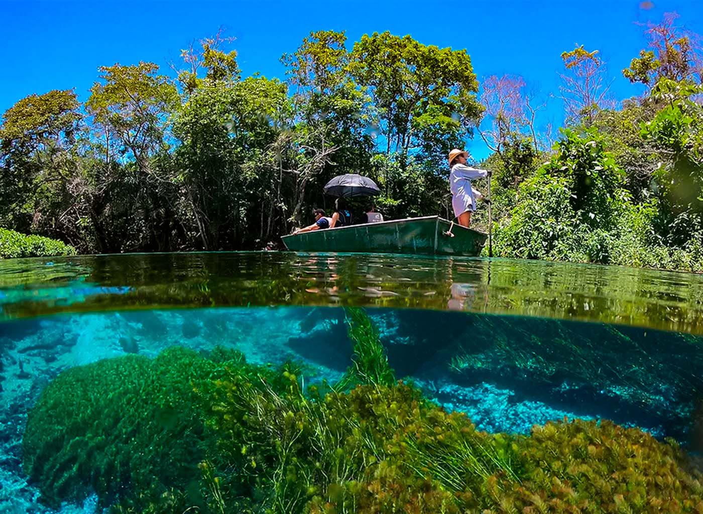 Vista de dentro da água para fora, de pessoas navegando em barco nas águas cristalinas do Rio Sucuri, em dia ensolarado, cercados pela vegetação local.