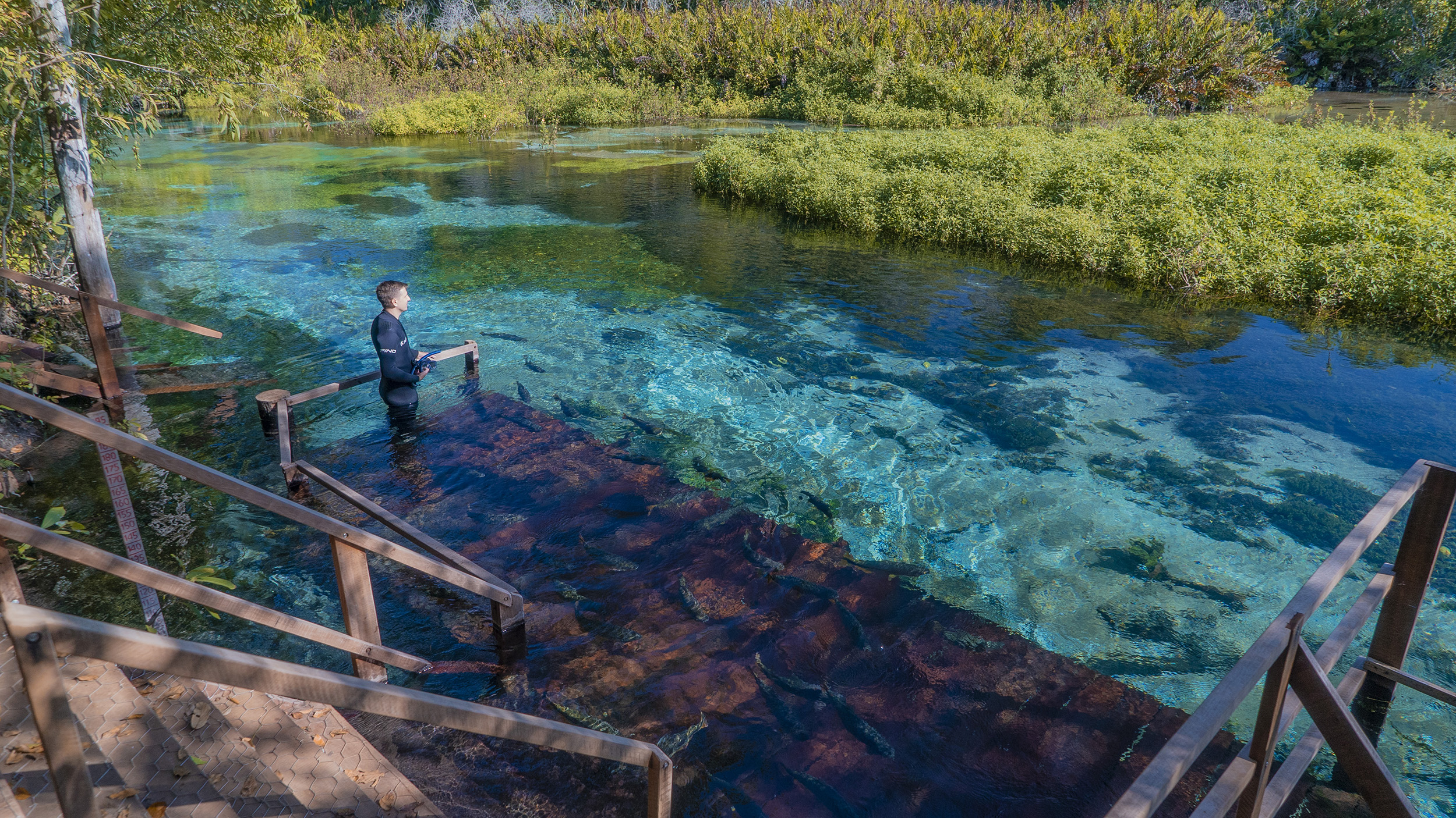 flutuação rio sucuri em bonito ms