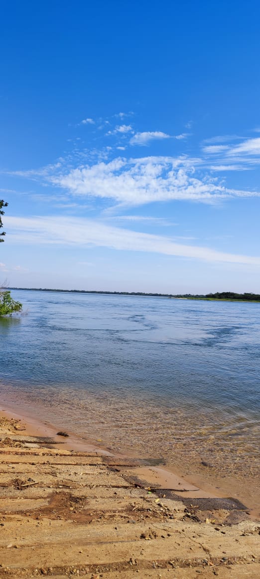 rota de aviturismo na mata atlantica do mato grosso do sul