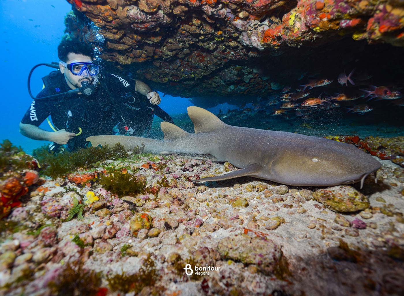 Pessoas observando vida marítima em mergulho com cilindro