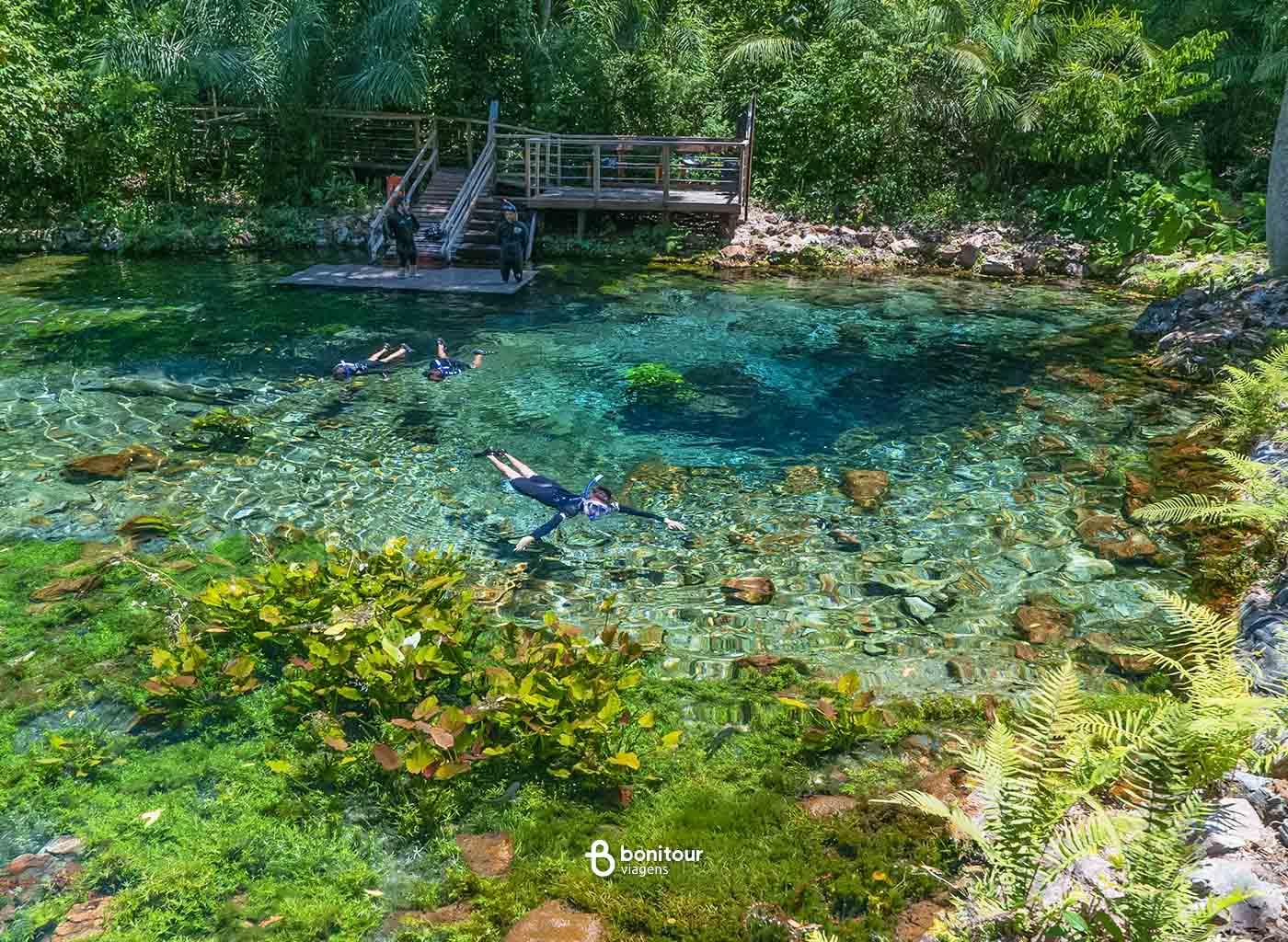 Pessoas fazendo flutuação nas águas cristalinas da Nascente Azul , com deck de fundo e densa vegetação nativa.