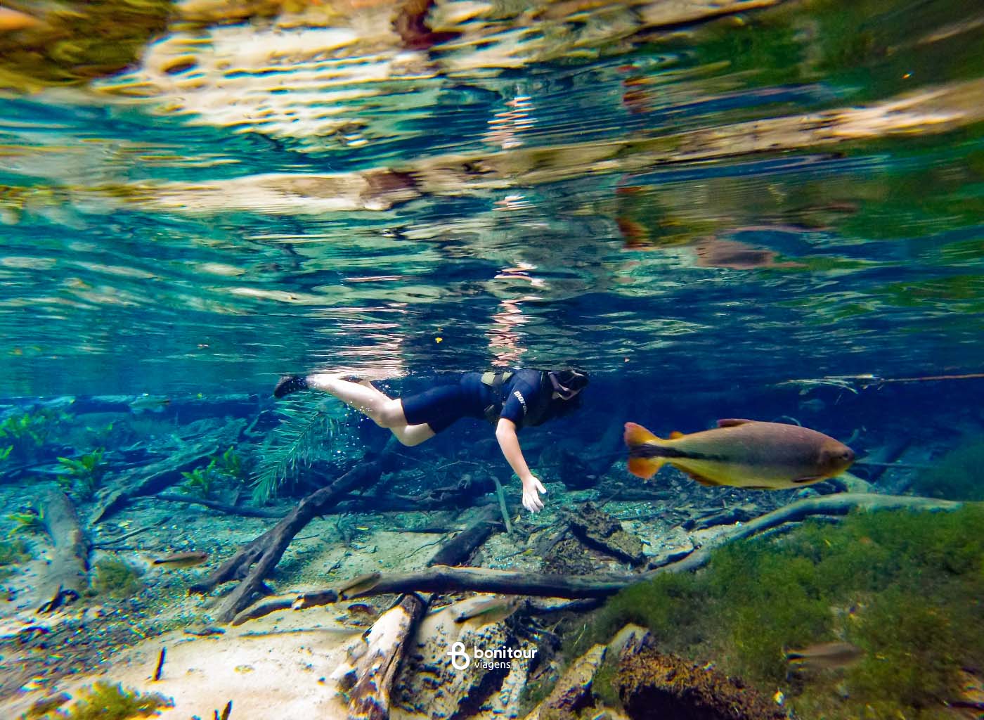 Imagem de dentro das águas cristalinas do Aquário Natural de Bonito, com peixes e pessoa ao fundo praticando flutuação.