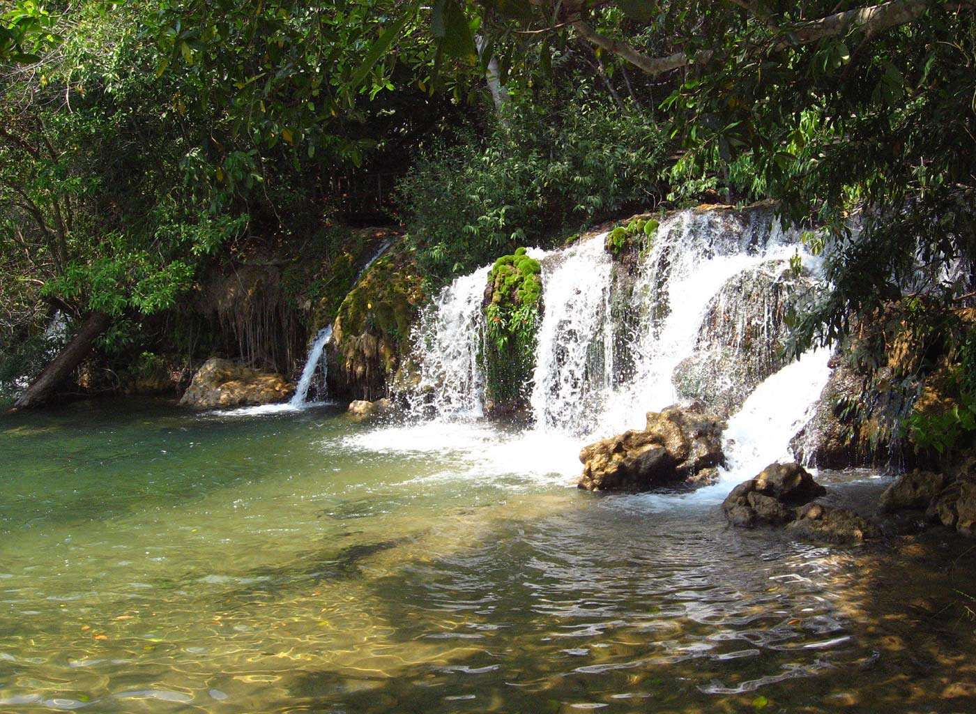 Cachoeira de águas cristalinas em meio a natureza