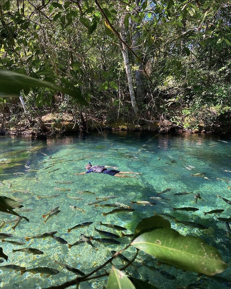 Flutuação Praia da Figueira Bonito MS