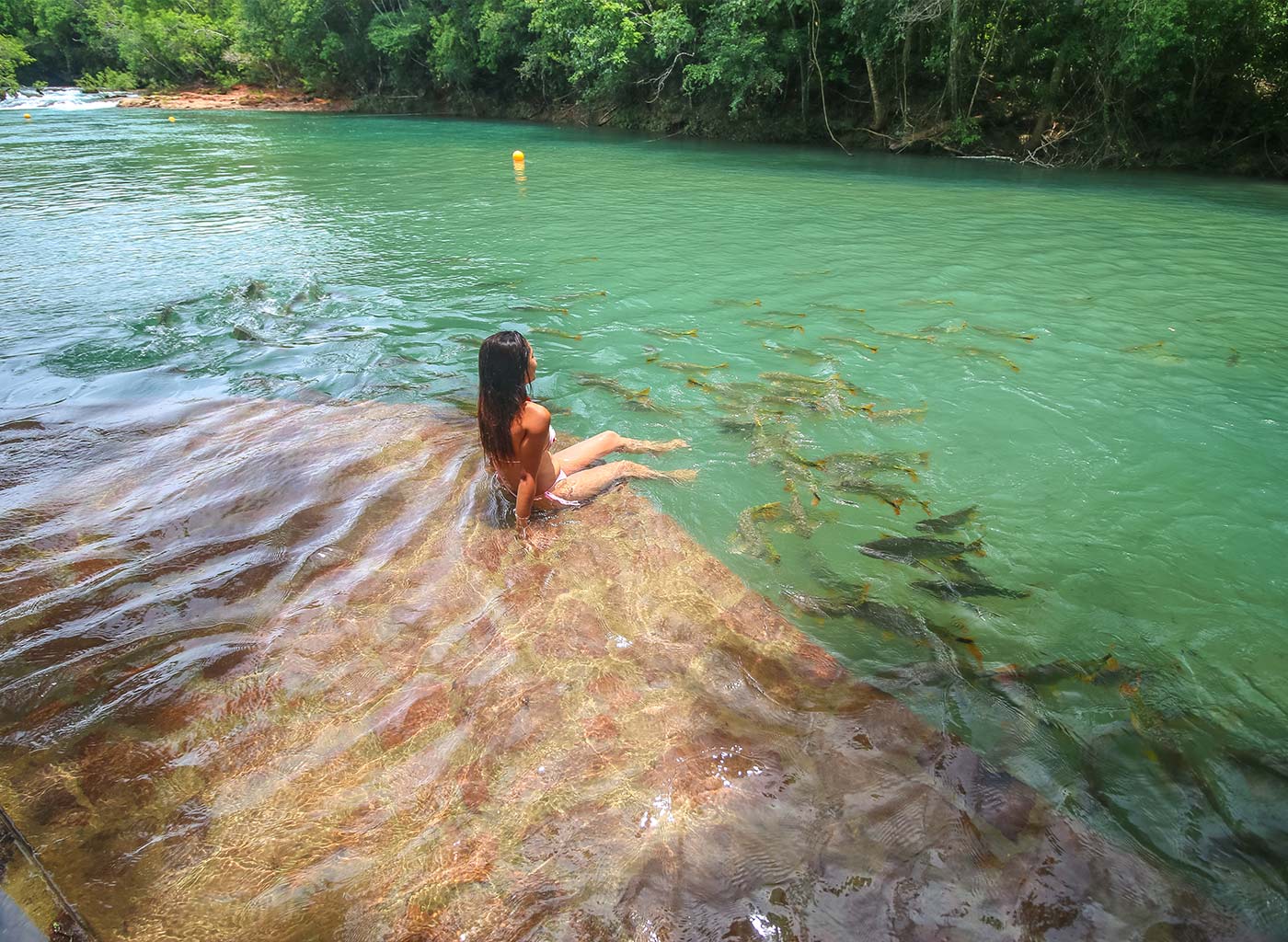 Mulher sentada em cima de pedra à margem de águas cristalinas, com cardume de peixes próximo aos pés e vegetação de fundo.