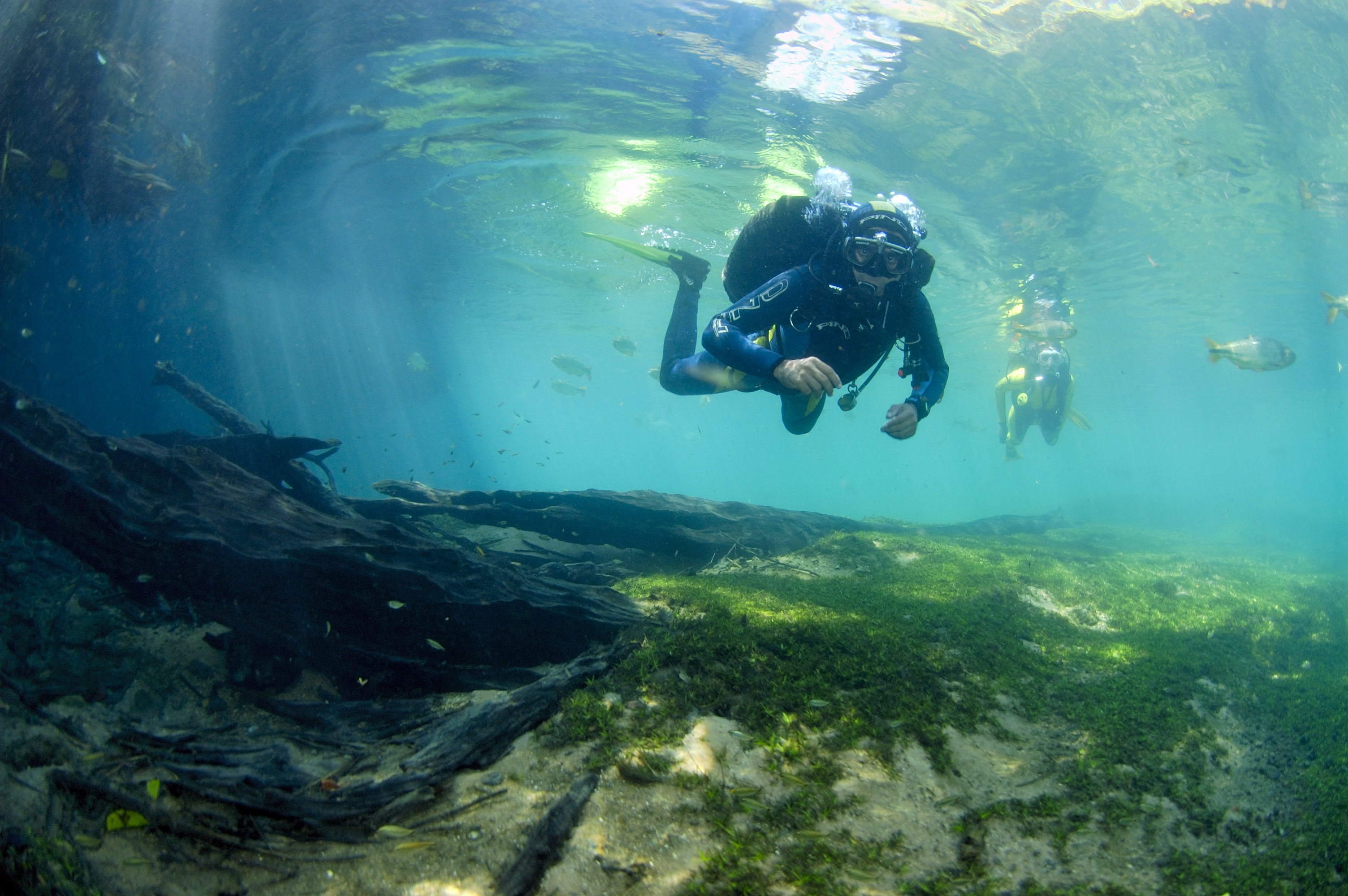 Rio da Prata Mergulho com Cilindro
