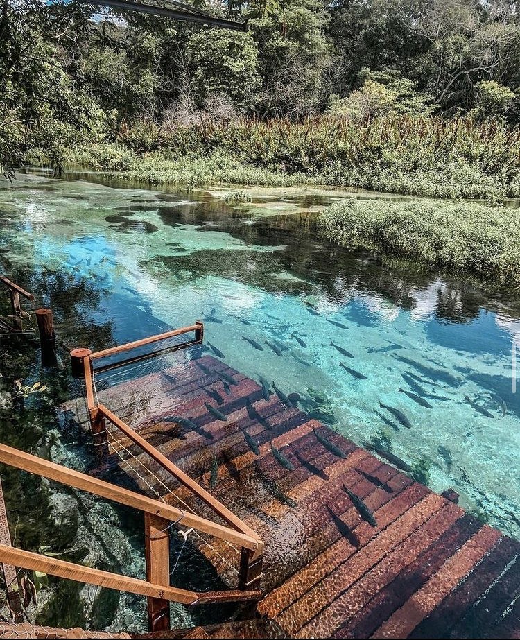 Flutuação Rio Sucuri Bonito MS