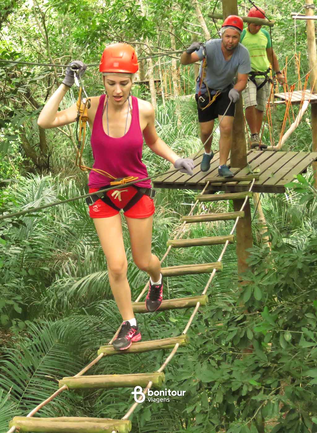 Pessoas com equipamento de segurança, no alto das árvores praticando arvorismo.