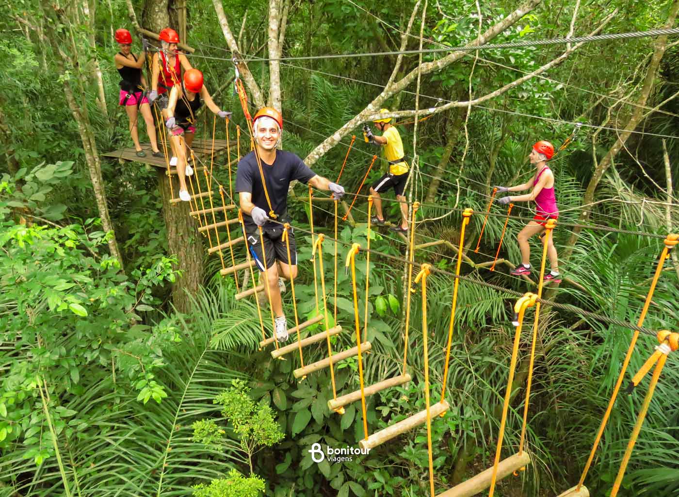 Pessoas com equipamento de segurança, no alto das árvores praticando arvorismo.