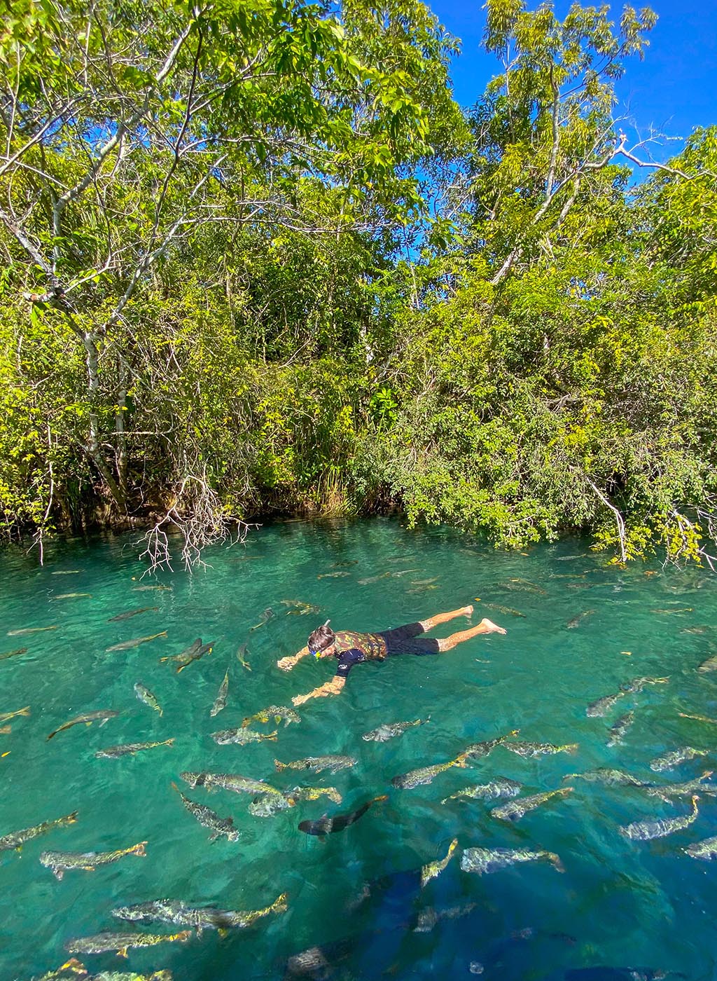 turista praticando a flutuação em rio cercado por peixes