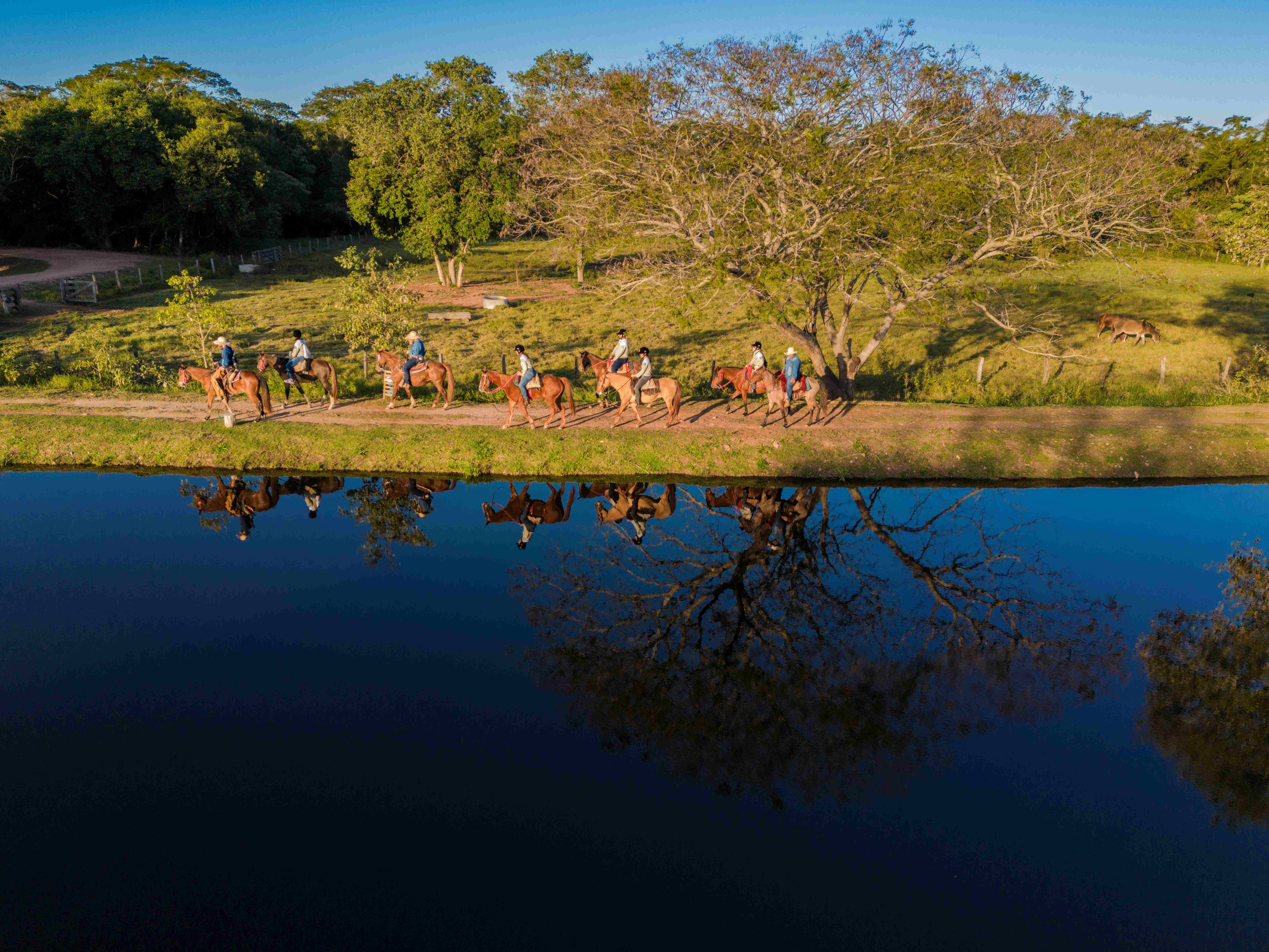 PantPantanal Experiência - Comitiva Raízanal Experiência - Comitiva Raíz