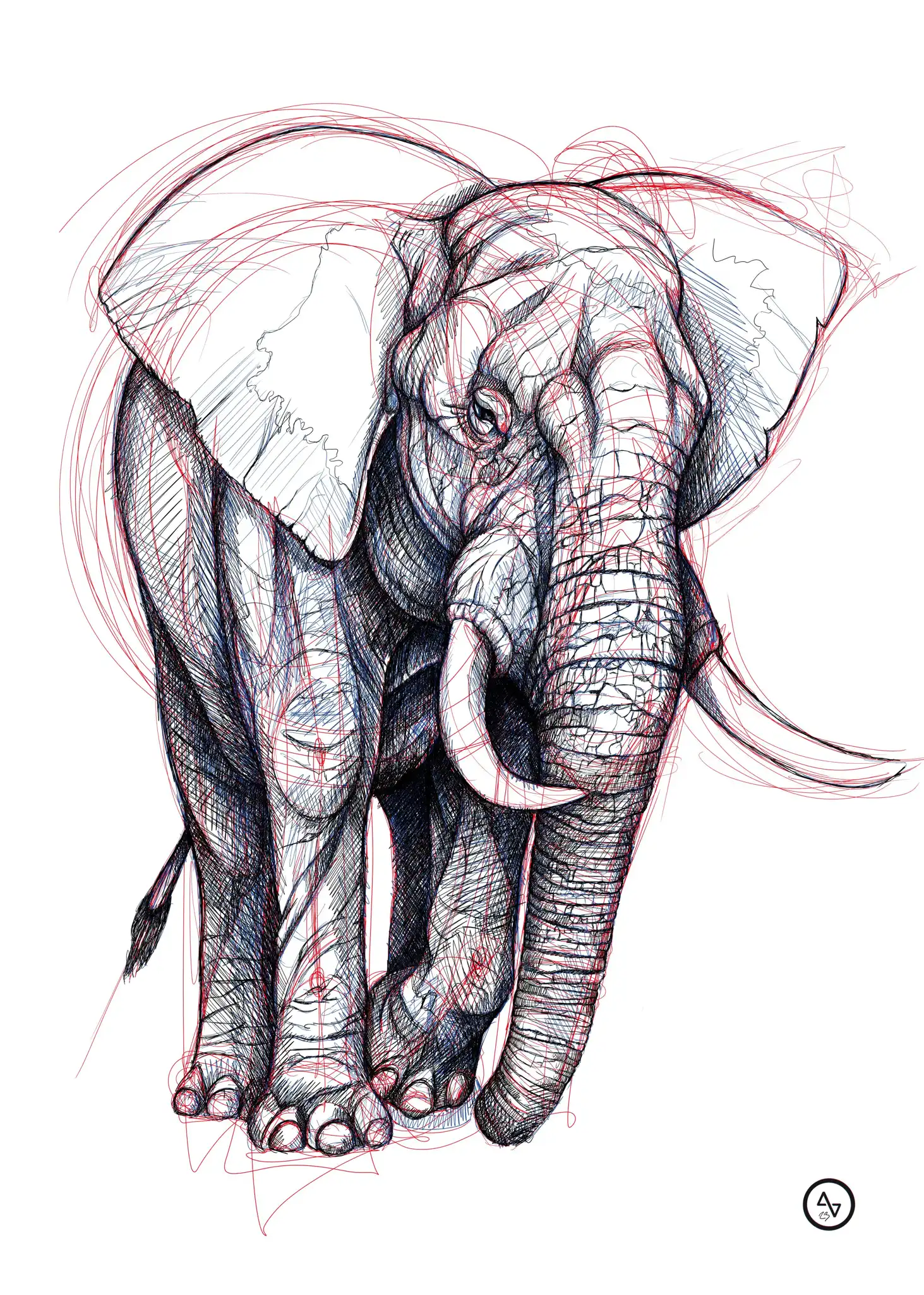 Ordinaire, Elephant RBN, Work On Paper