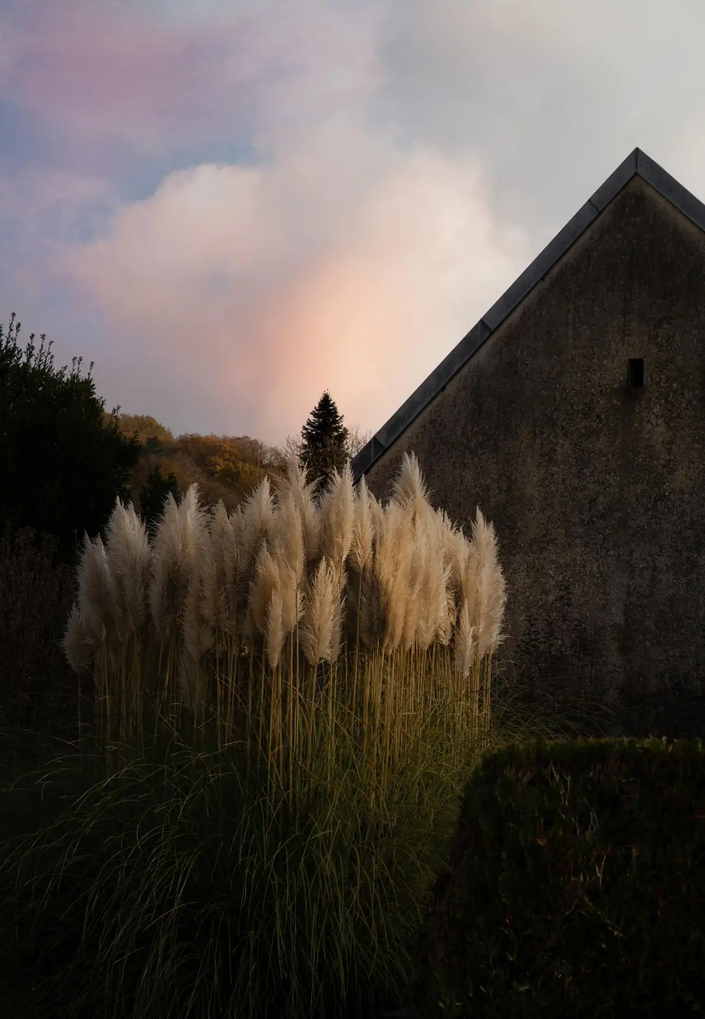 Estelle MAGNIN, Golden Ears, Photography