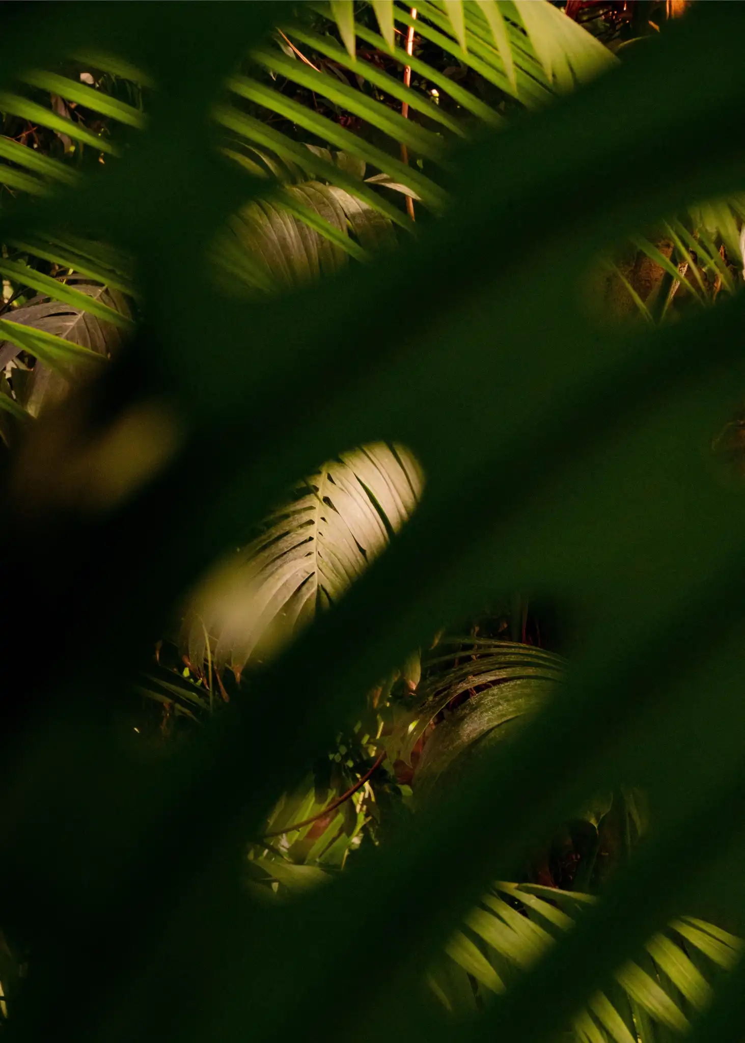 Théo ANTONIN, Respirons, Photography