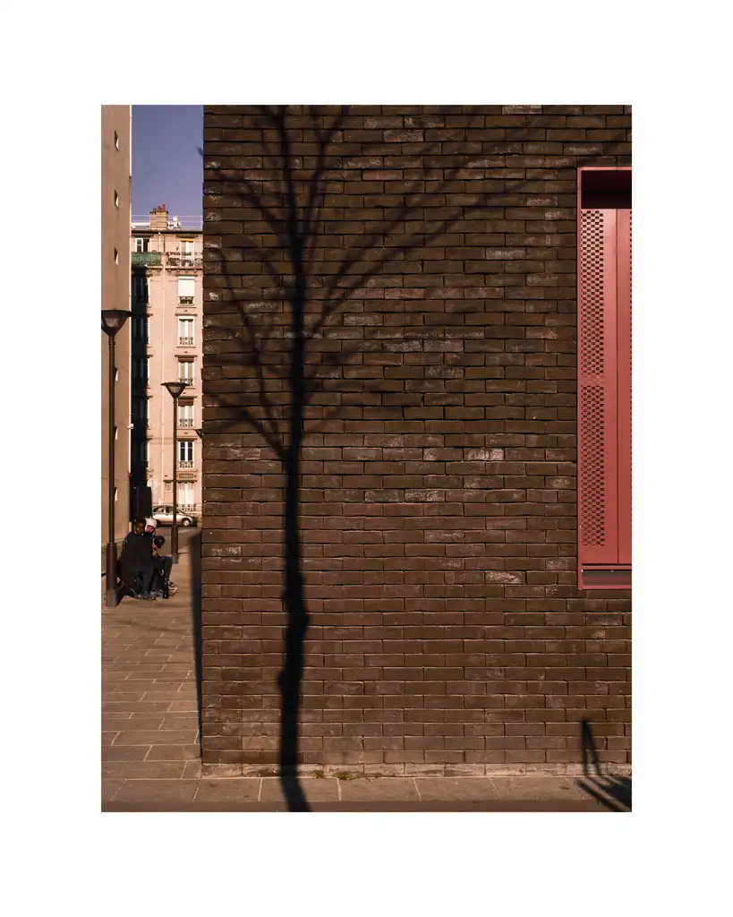 Olivier CUVELETTE, 12-tree-at-the-corner, Photography