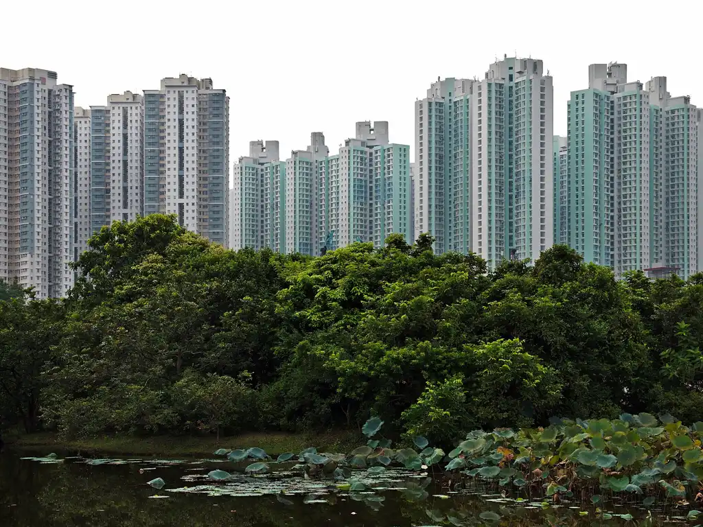 Tom SPACH, Tin Shui Wai (Grand format), Photography