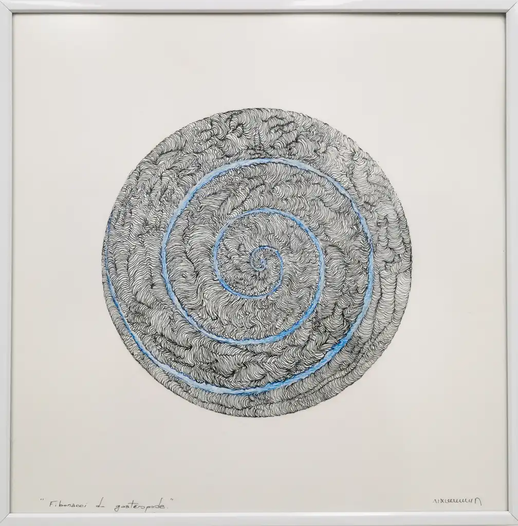 Alain-Jacques LEVRIER-MUSSAT, Cellule Fibonacci de Gasteropode, Work On Paper