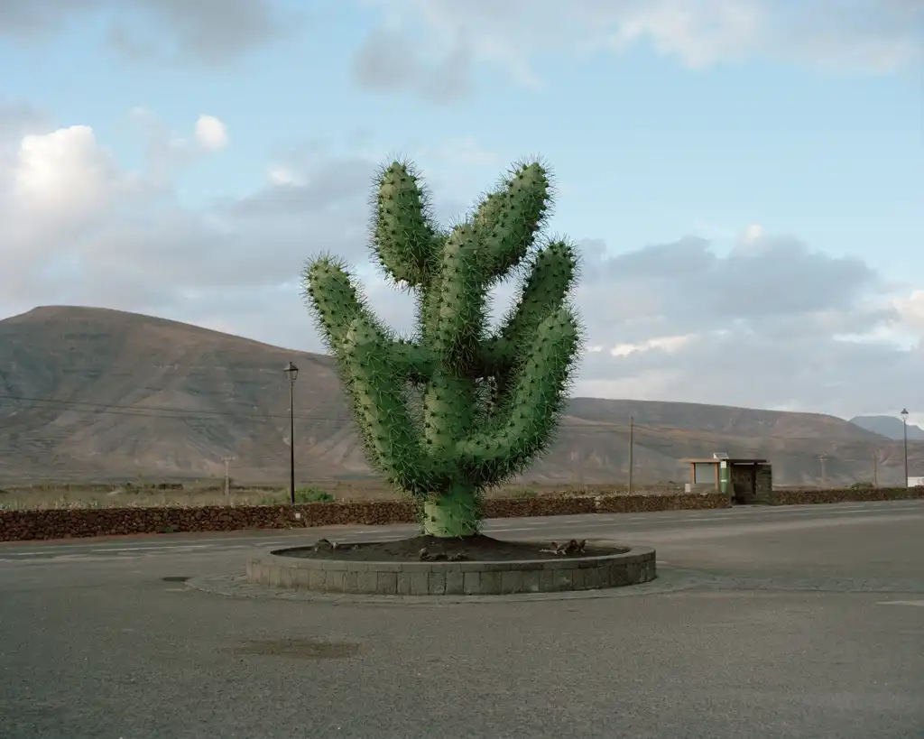 Naïma LECOMTE, Jardin de Cactus, Lanzarote, 2021, Photography