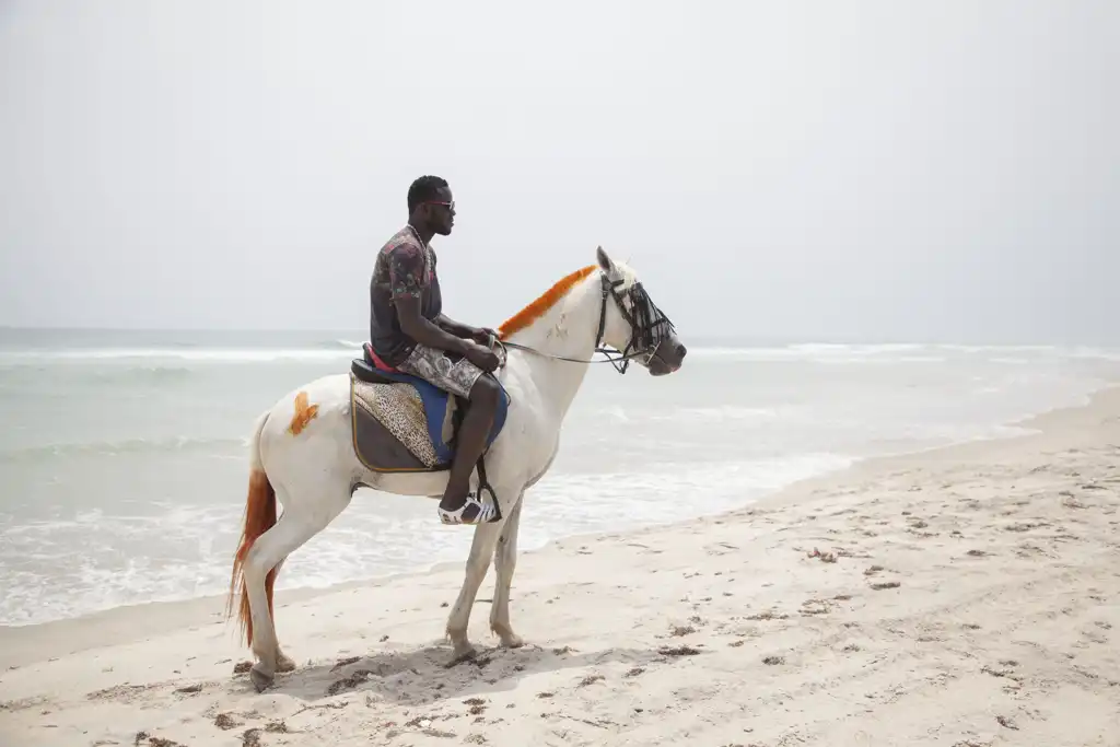 Lucy VIGOUREUX, Le cheval punk de la lagune d'Assinie, Photography