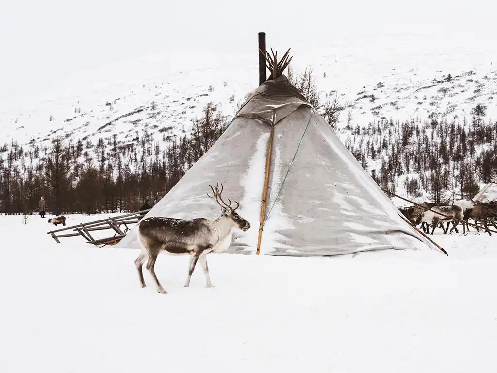 Corinne VACHON, Le Roi de Nénètsie , Photography