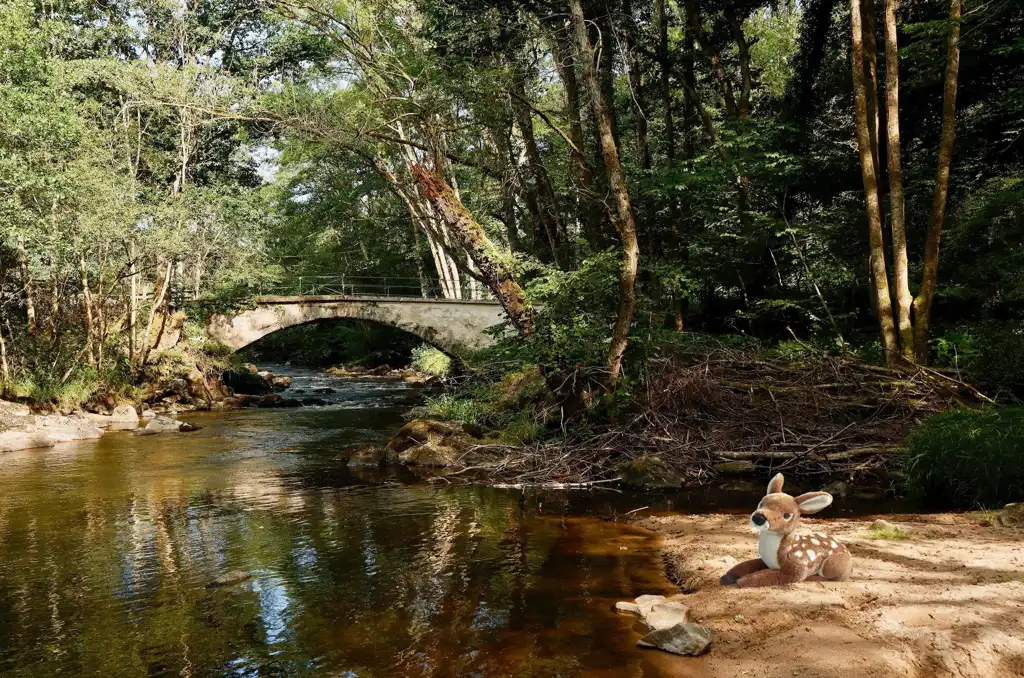 Estelle AMIOT, Biche, Série ANIMAL KINGDOM, 2023, Photography