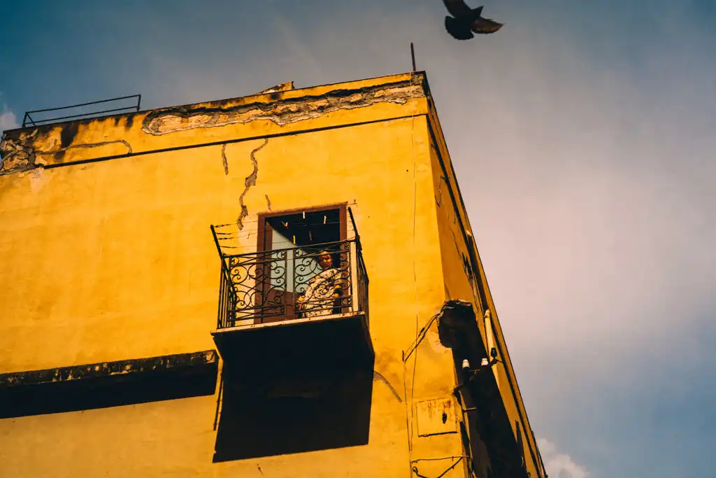 Aude CATIMEL, A vol d'oiseau, Photography