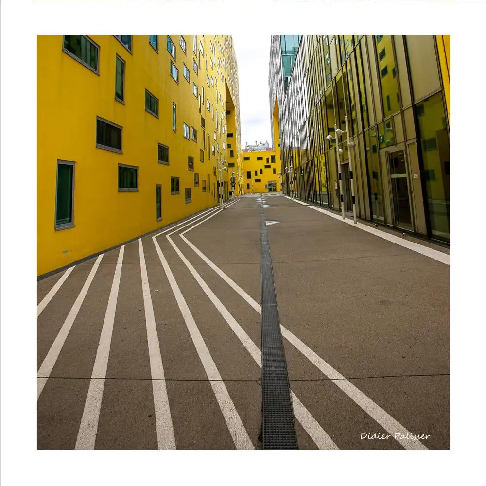 Didier Palisser, Street view, Photography