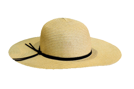 Straw Sun Hat