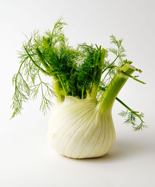 Fennel