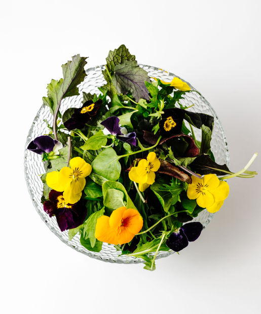 Wild Herbs with Flowers