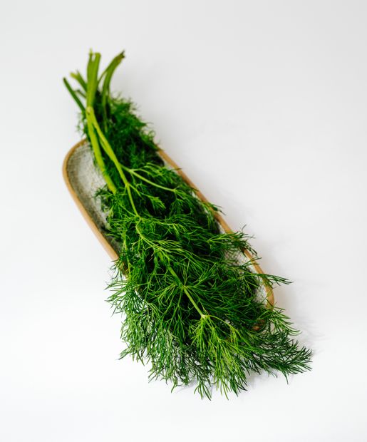 Dill