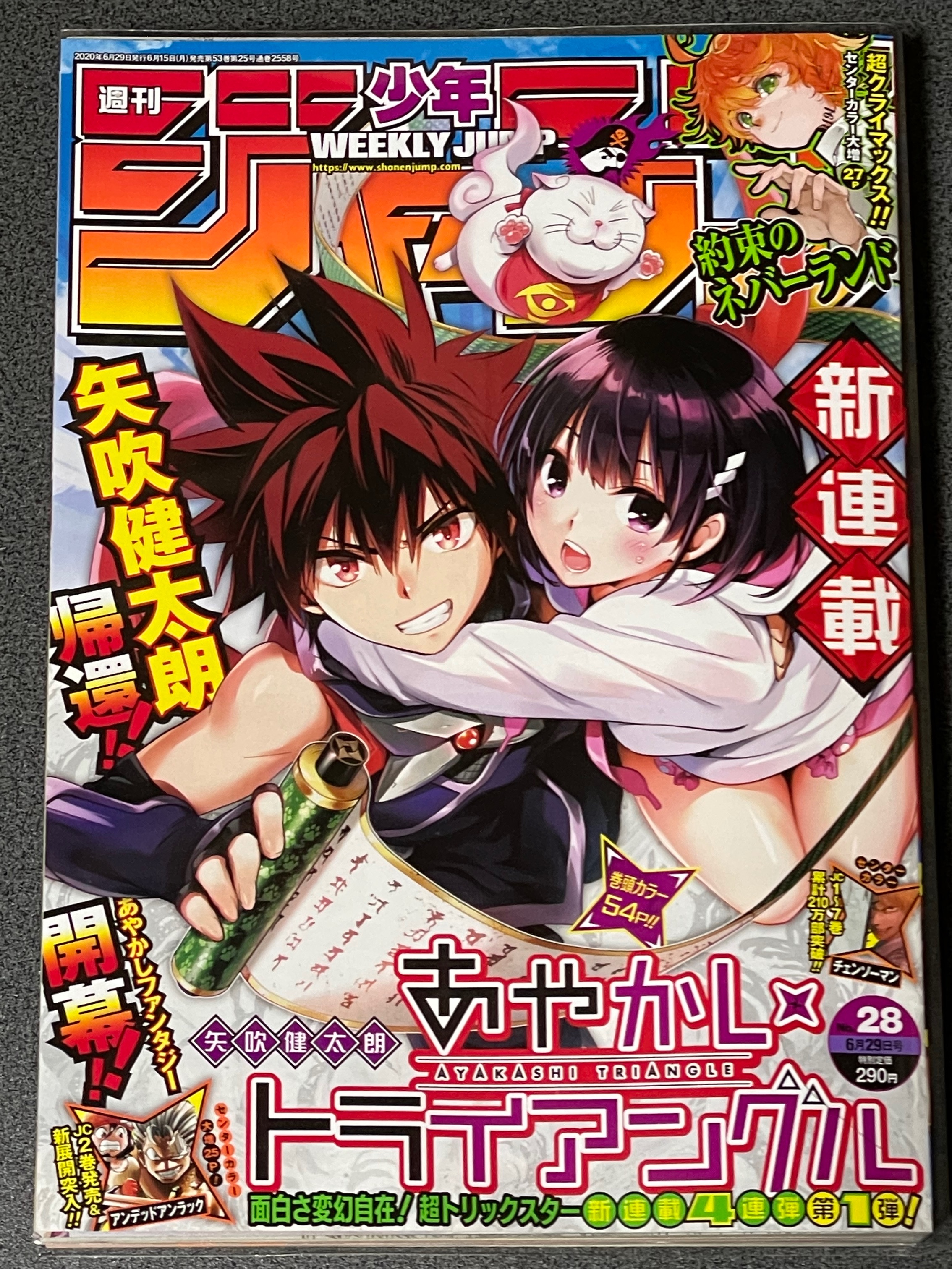 約束のネバーランド 1000年前の約束の真相 (マイウェイムック