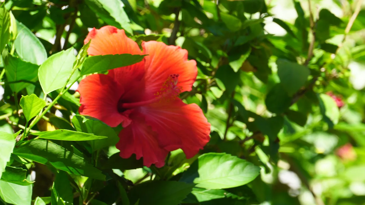 Naturaleza 25