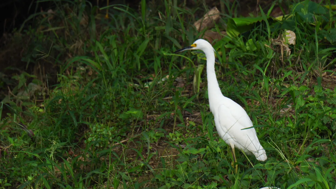 Naturaleza Capurganá 6