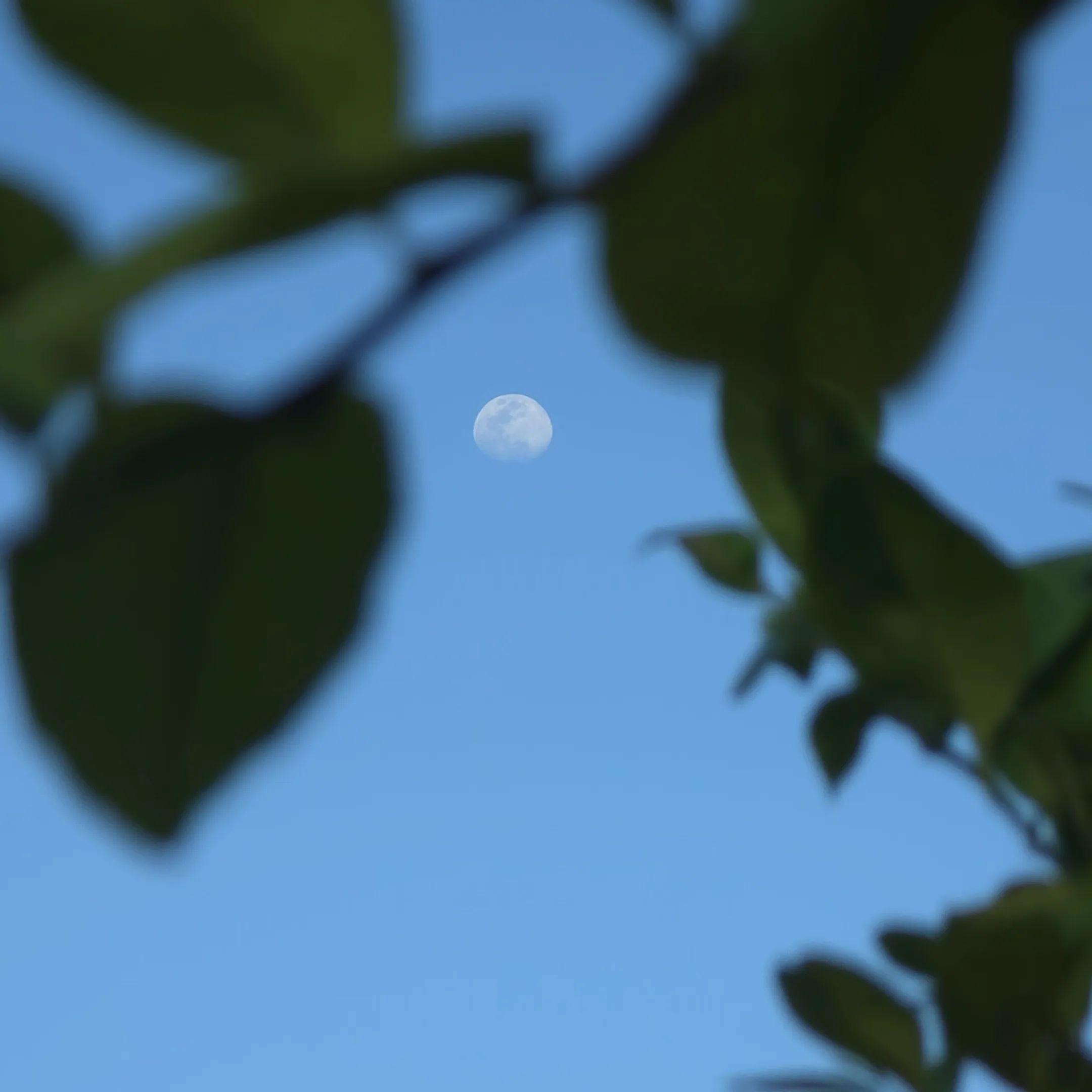 Naturaleza 27