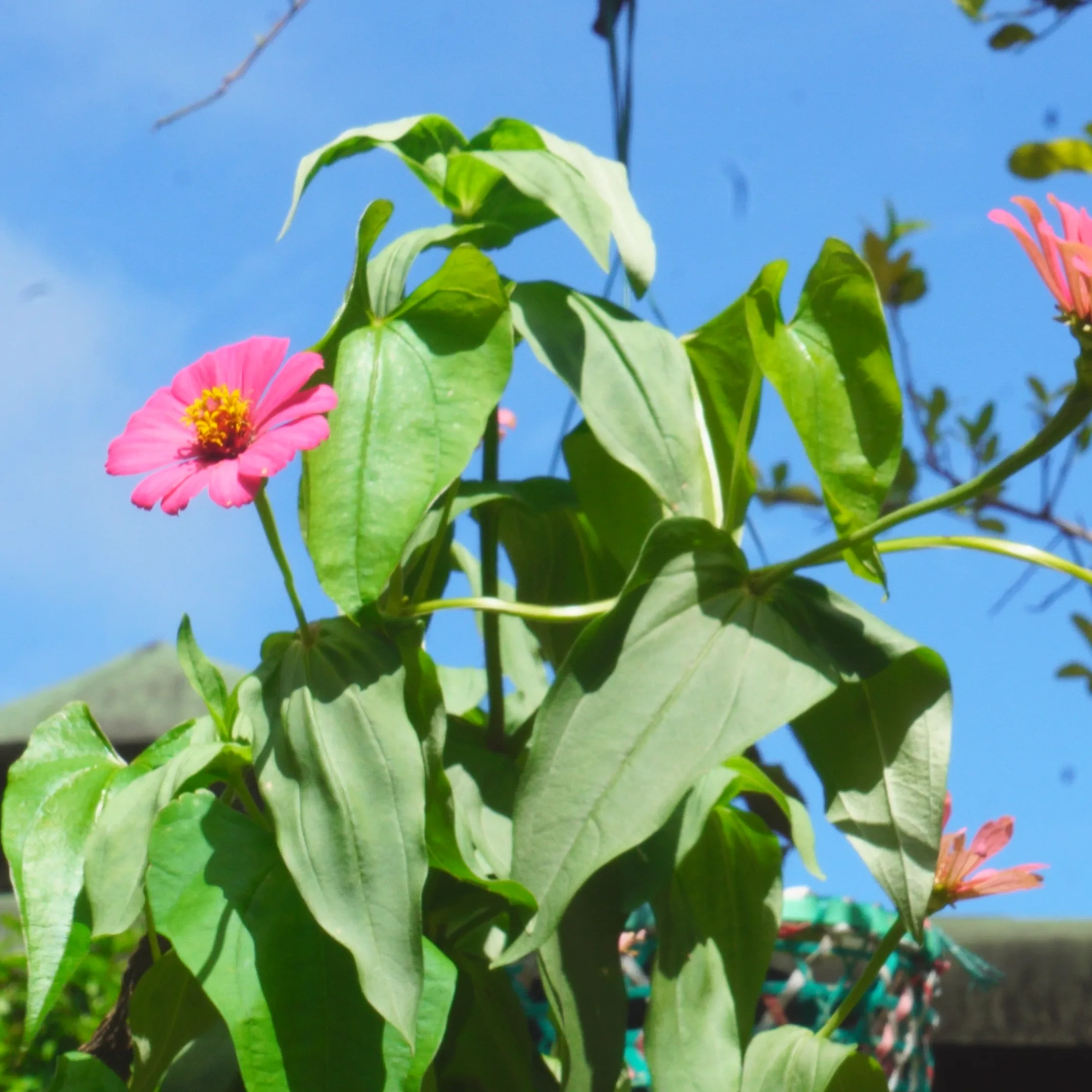 Naturaleza 10