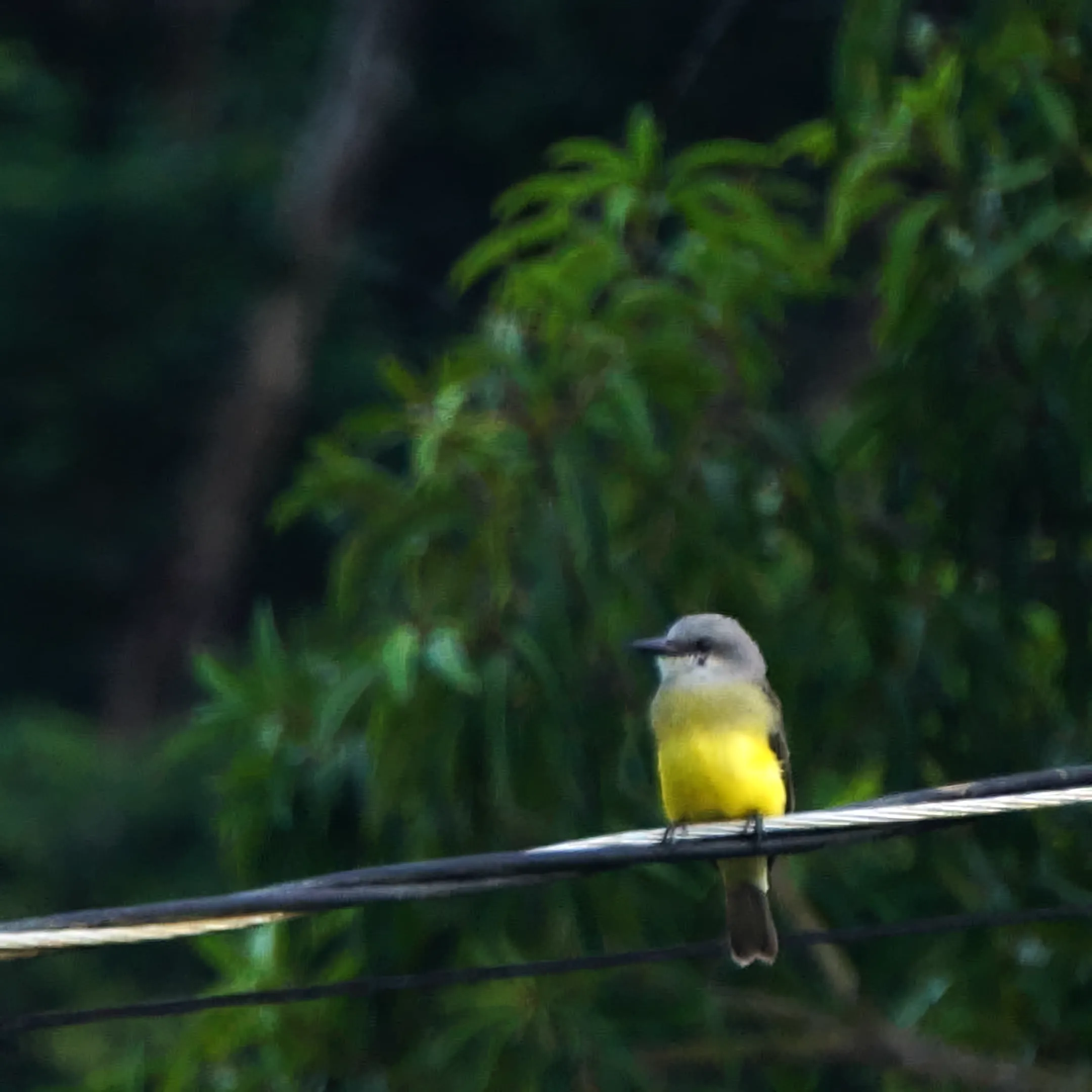 Naturaleza 9