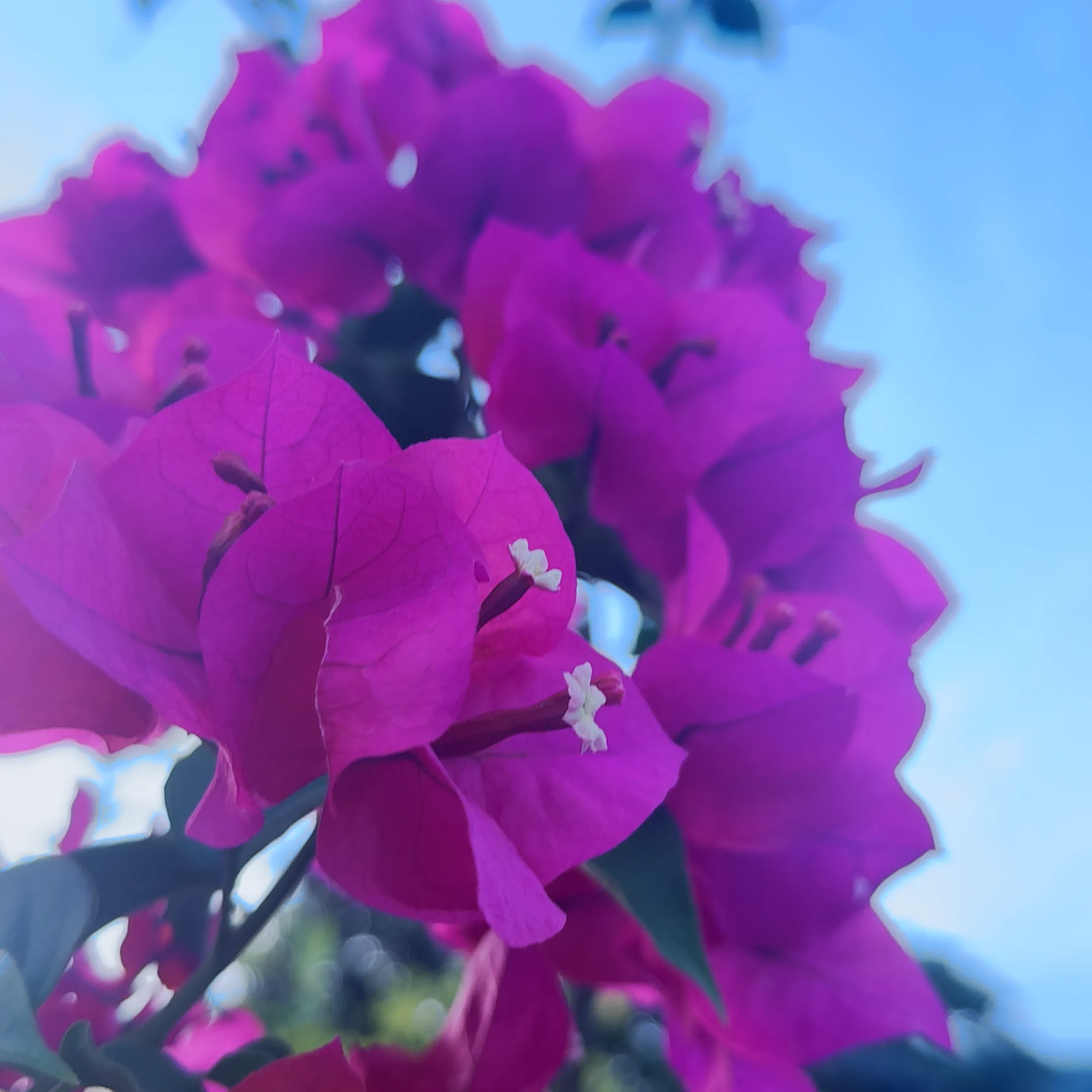 Naturaleza 44