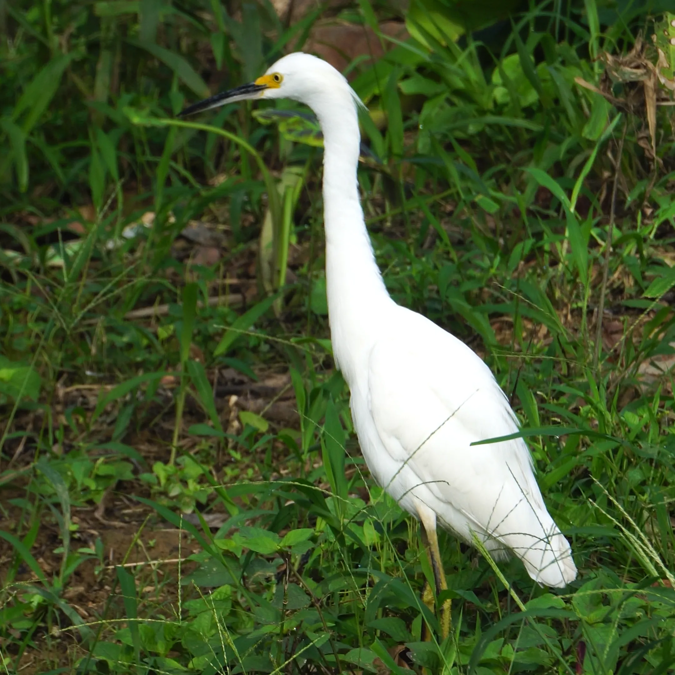 Naturaleza 22