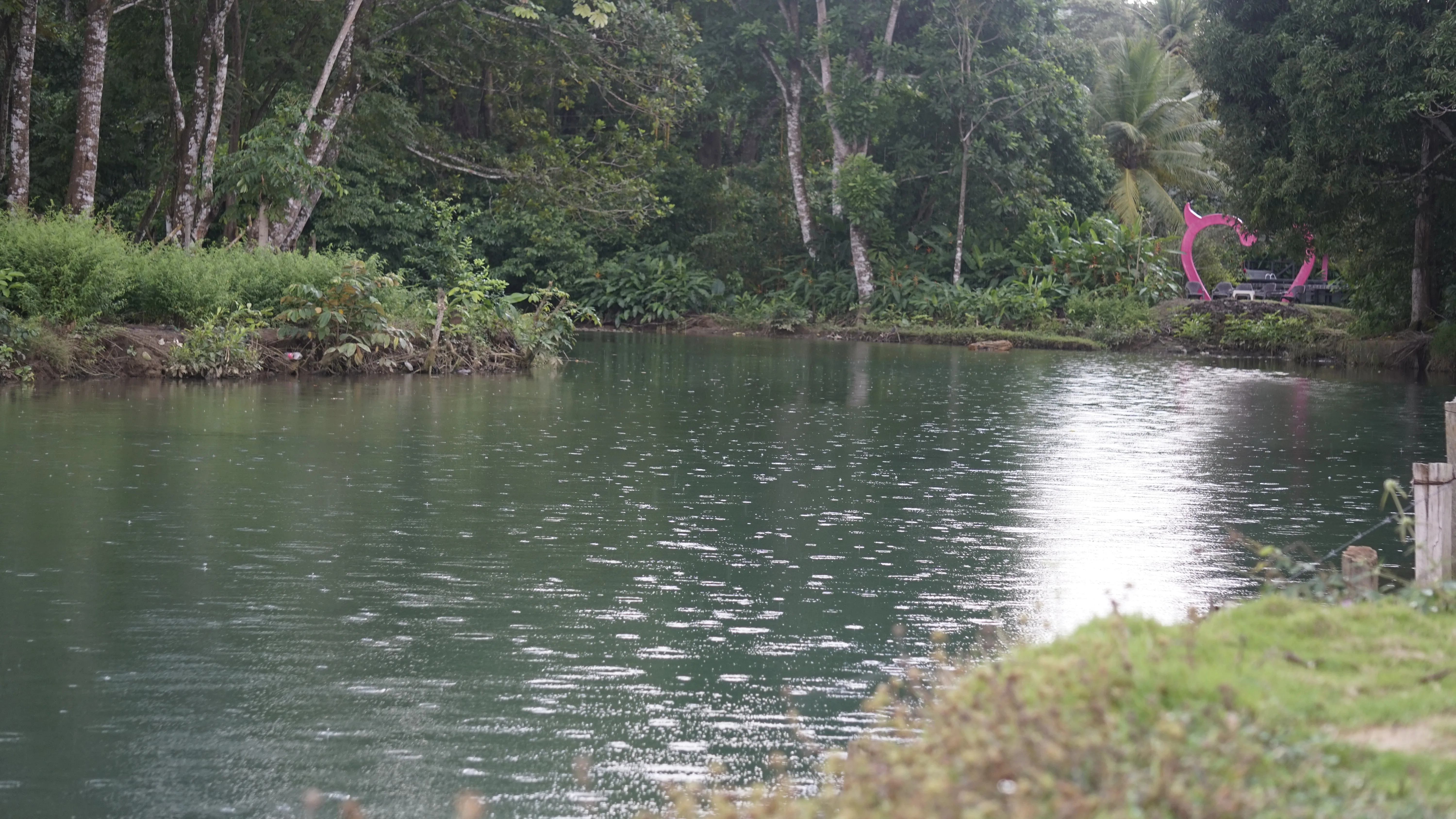 Naturaleza 14
