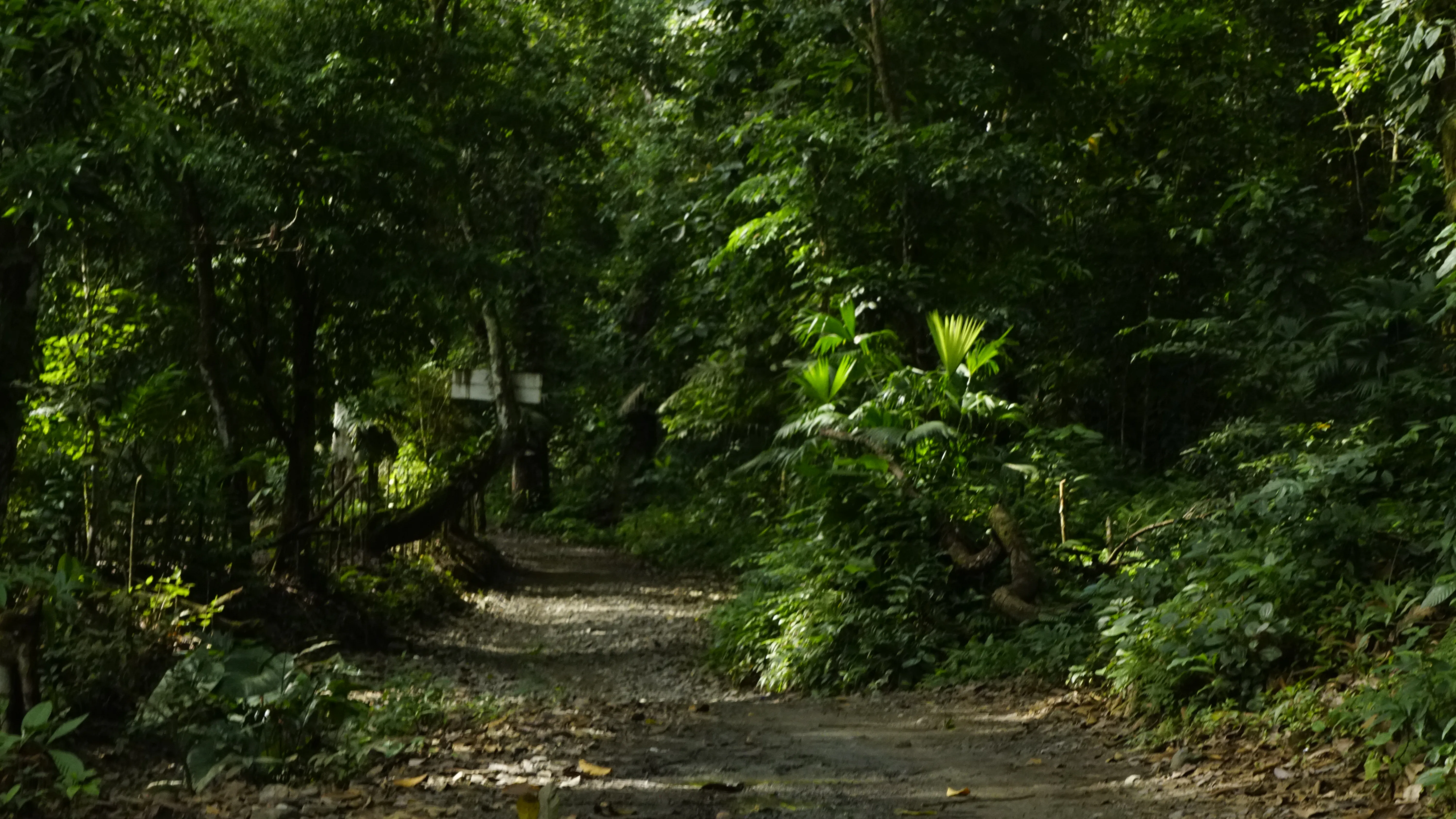 Naturaleza 34