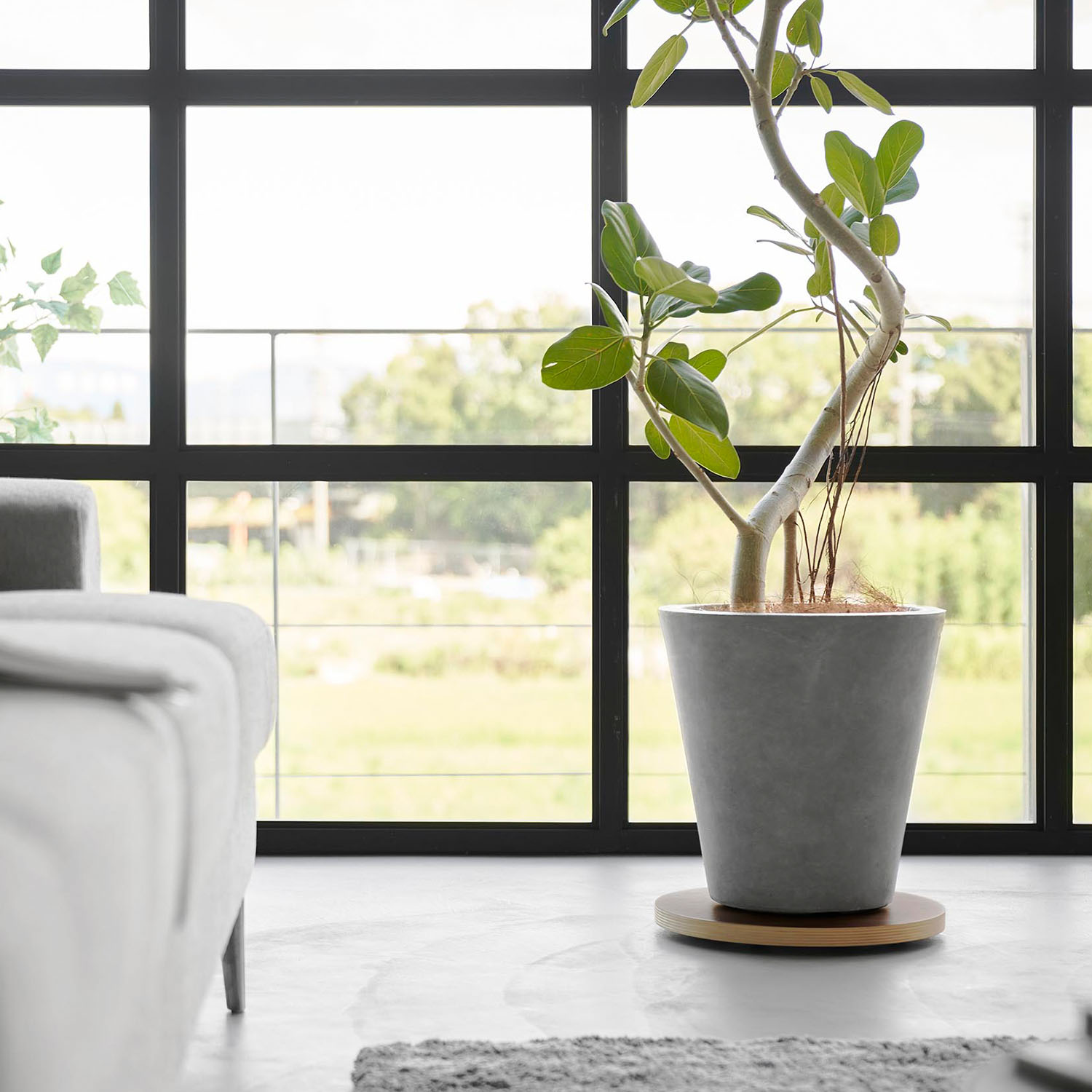 インテリア低台車 リン ラウンド