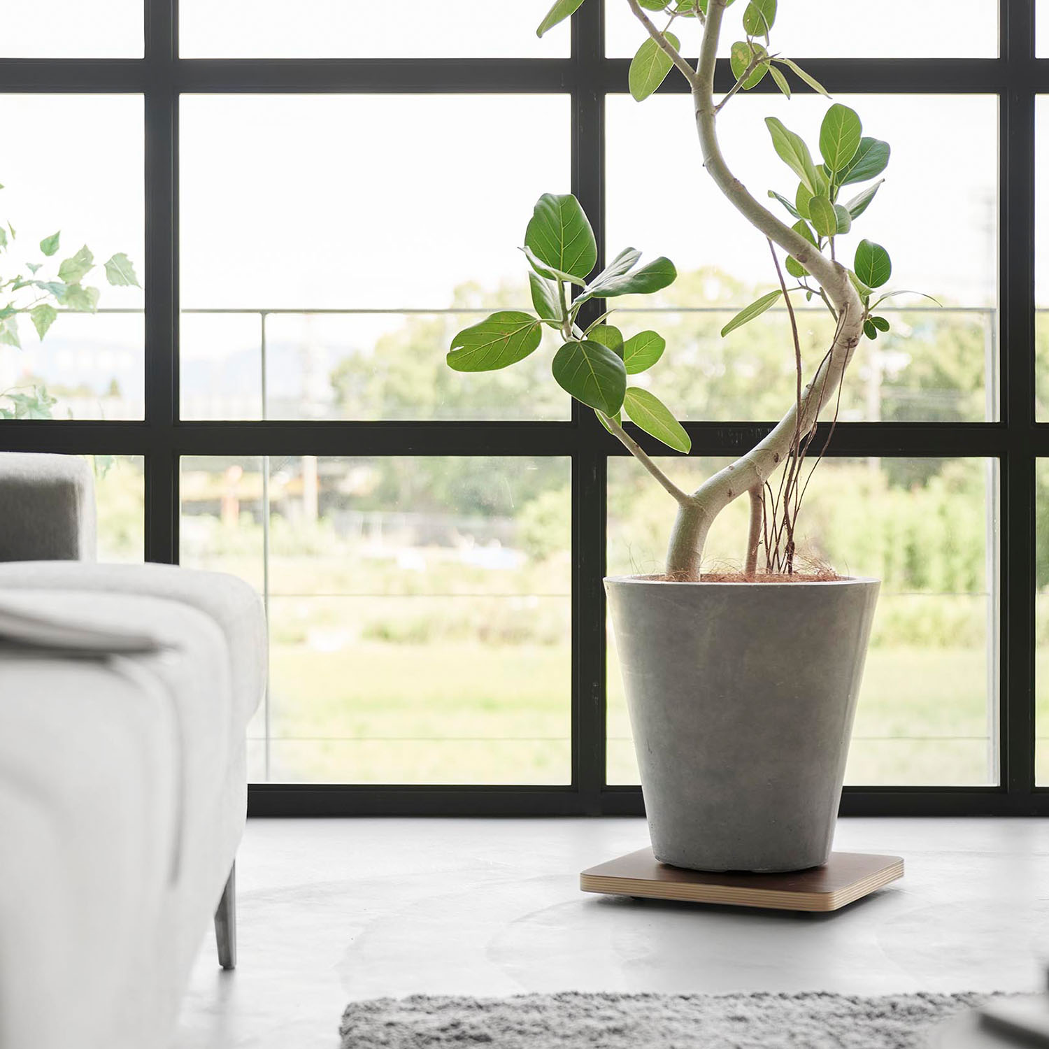 インテリア低台車 リン スクエア