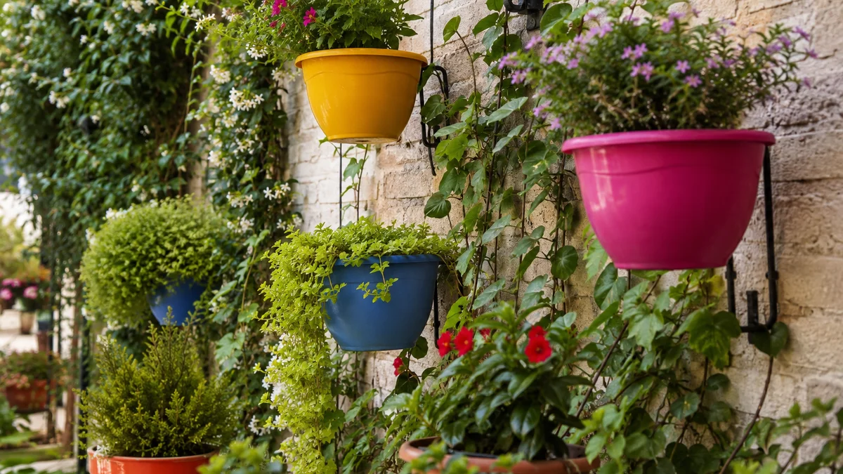 Vertical garden wall with colorful planters and climbing plants