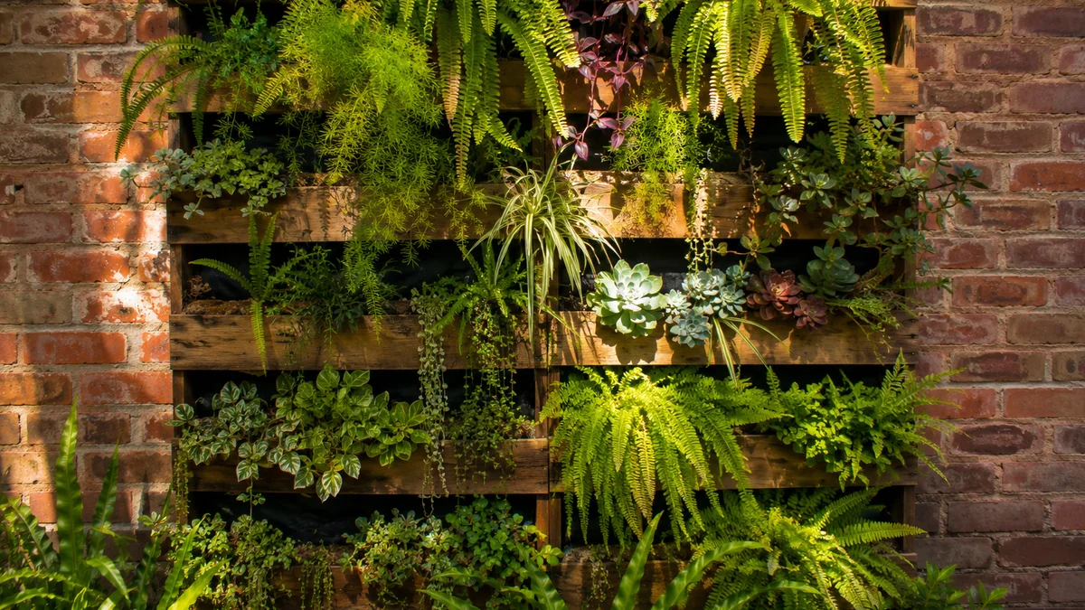 A vertical garden with ferns and succulents on a wooden trellis against a brick wall.