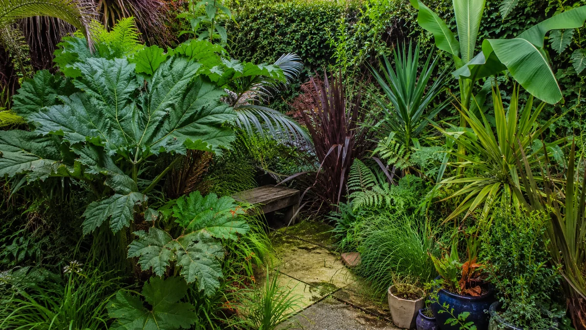 An overcrowded garden space with oversized plants.