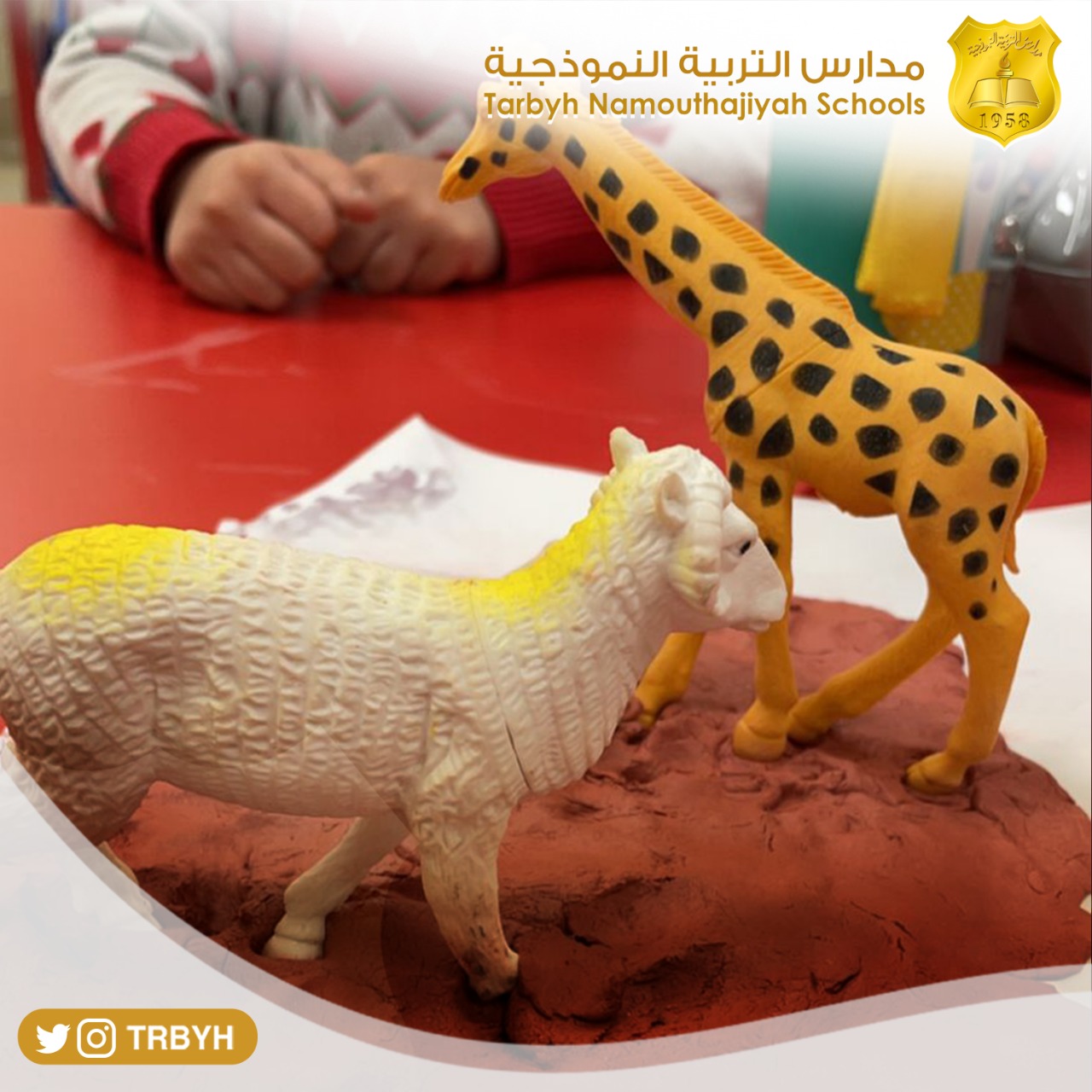 نشاط مادة العلوم (اشكال اليابسة)