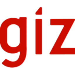 GIZ logo