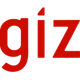 GIZ logo